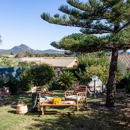Mini Rei Tatil Evi